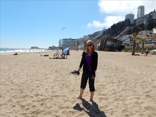 Vina del Mar had a very beautiful beach. We put our feet in the ice cold water then ran back to the safety of the tour van. 