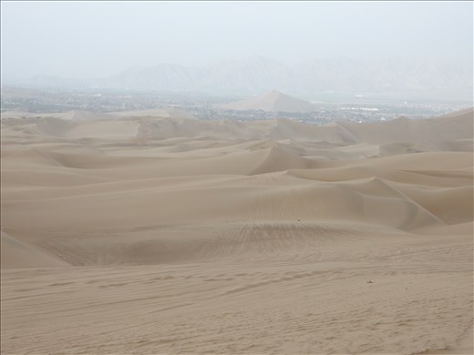 We arrived in a little town called Huacachina to dune buggy and sandboard. 