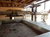 Visited a pisco distillery in Ica, Peru called El Catador that still makes it the old fashioned way. Here is the area where the grapes are stomped with bare feet.then pressed. : by danidawnandstevo, Views[371]
