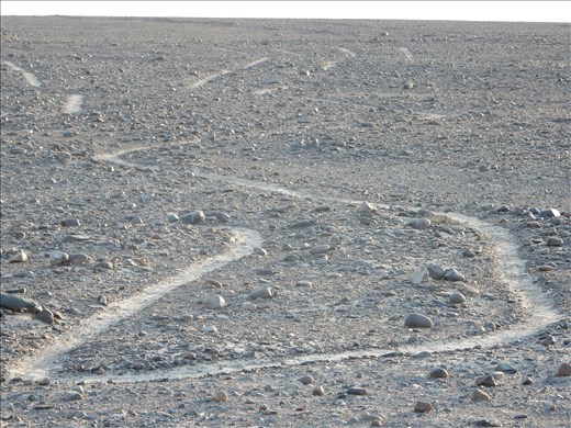 For obvious reasons you're not allowed to set foot beyond the barb wire fence but here is a close up of the lines. They are only about 6 inches deep and I would say about a foot wide and in remarkable condition considering they were created 2,500 years ago. The dry stable climate is said to naturally preserve the lines. 
