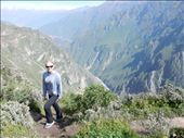 On our way to see condors soar at Colca Canyon the second deepest canyon in the world. : by danidawnandstevo, Views[277]