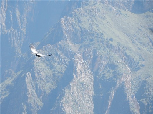 Our motto this entire trip has been 