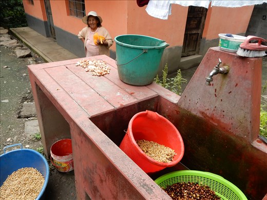 Lunch break at a small cocao plantation.