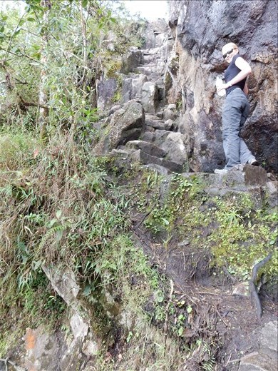 The stairs to Machupicchu. 