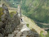 On our way up Waynapicchu's 