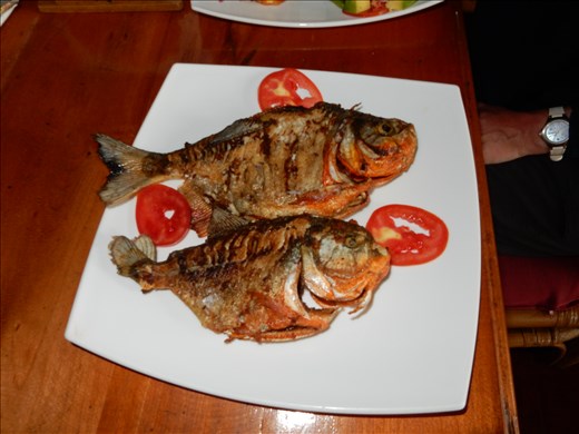 The chef back at the lodge cooked up our piranha. Tasted like chicken. 