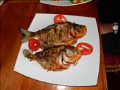 The chef back at the lodge cooked up our piranha. Tasted like chicken. : by danidawnandstevo, Views[333]