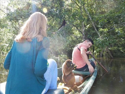 Of all the monkeys we saw in the jungle this one that lived near the village was tame and we were able to lure him onto the canoe with bananas. 
