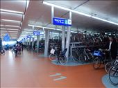 So many bikes here there is underground bicycle parking garages. : by danidawnandstevo, Views[363]