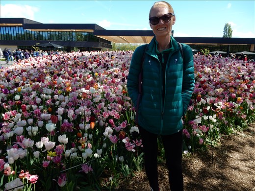 Visited Kuekenhof Tulip Garden just outside of Lisse.