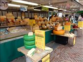 There is a Gouda cheese store on every corner in Gouda. : by danidawnandstevo, Views[331]