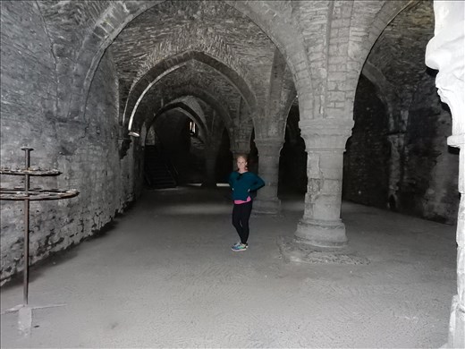 The dungeon. Fun fact - The Castle of the Counts was used in the upcoming Adrien Brody movie 