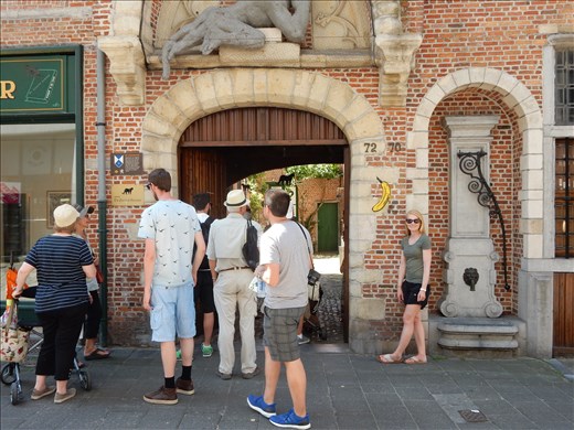 During your travels if you see a banana painted on a building wall in it means there is excellent contemporary art inside. 