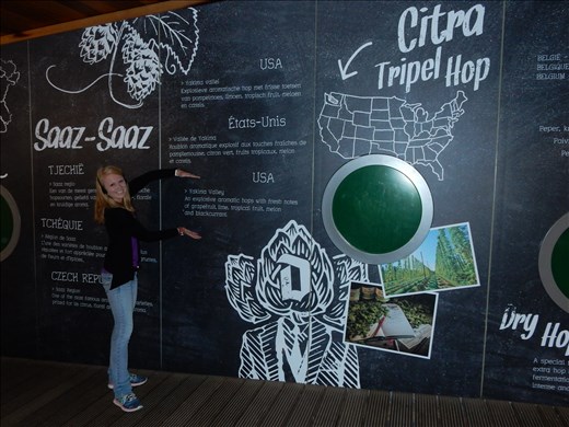 The hops from this amazing beer come from Yakima Washington!