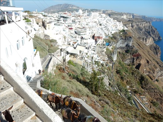 Fira Santorini. Cruise ship passengers arriving from the bottom have three choices to get up to town. Gondola, donkey or walk 588 steps. 