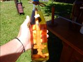Plum brandy is very popular in Romania. A mulberry wood spindle is placed inside the bottle to add color. Legend has it the spindle is a puzzle if solved will result in a broken heart. : by danidawnandstevo, Views[463]