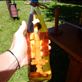 Plum brandy is very popular in Romania. A mulberry wood spindle is placed inside the bottle to add color. Legend has it the spindle is a puzzle if solved will result in a broken heart.  Views[445]