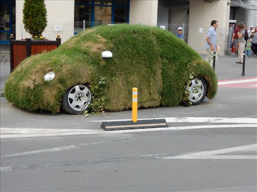 Time to water the car. 