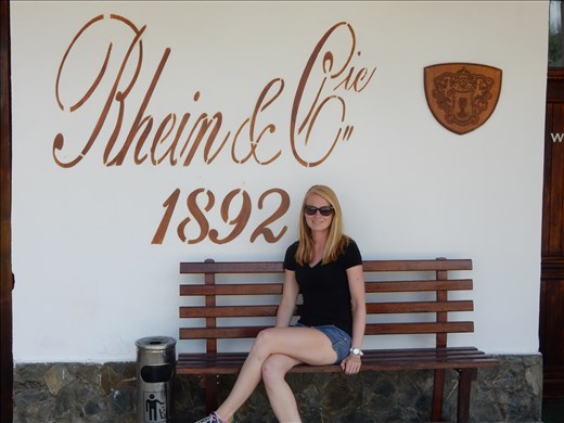 Wine tasting at Azuga Rhein Cellars. 