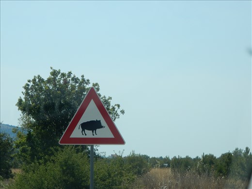 Gotta watch out for these guys!