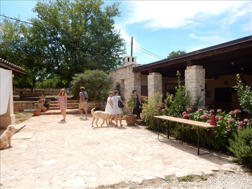 Tour of goat cheese farm in Istria. 