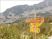 It's a good thing to know exactly where your going since the trail signs are not always helpful. : by danidawnandstevo, Views[280]