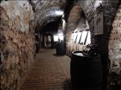 Some wine tasting in the Valtice Palace cellar. : by danidawnandstevo, Views[483]