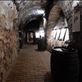 Some wine tasting in the Valtice Palace cellar.  Views[462]
