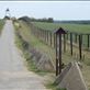 The biking tour follows the Iron Curtain. Up until the mid 1960's, 10,000 volts of electricity flowed through the fences. 390 people died between 1948 and 1989 on the Czechoslovakia side of the border trying to cross and 654 border guards died although only 10 died from conflicts from border violators. The others died from suicide, electrocution, drowning or accidents with guns. The Iron Curtain stretched 7,250 km from the Baltic Sea to the Adriatic Sea and this section of the Iron Curtain in Clzov is the only preserved section in the Czech Republic.  Views[371]