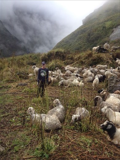 Entering the Annapurna Sanctuary. Weather was cold and cloudy.  