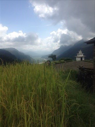 The long journey back to civilization. 