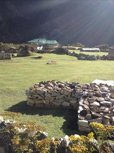 Yak patties drying out in the sun to be later used in the lodge stoves to heat the dinning room. 