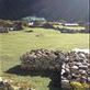 Yak patties drying out in the sun to be later used in the lodge stoves to heat the dinning room.  Views[178]