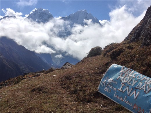 Still not sure how this car door got here. 