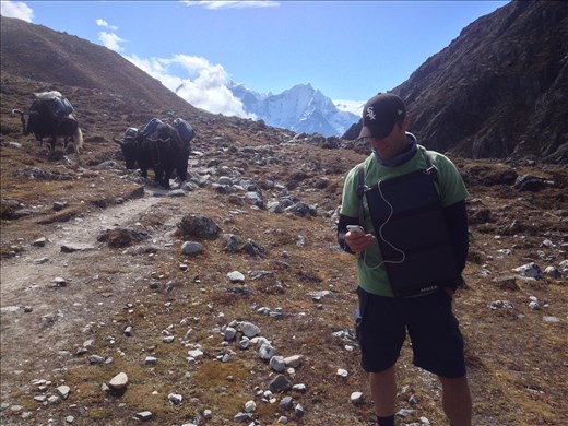 Solar power energy kept our phones charged on the trail. 