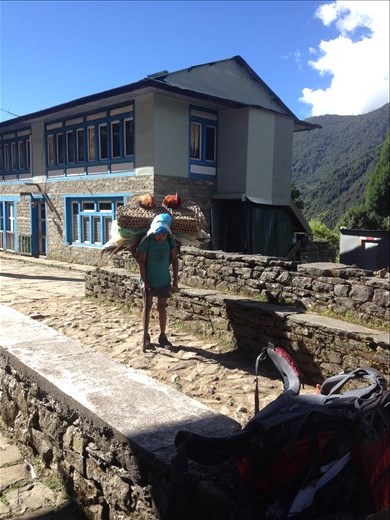 Guy transporting chickens and a couple of roosters. 
