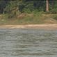 Crocodile. : by danidawnandstevo, Views[240]