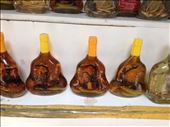 This popular drink is said to improve your libido. It's rice wine that contains a cobra and a scorpion. : by danidawnandstevo, Views[333]