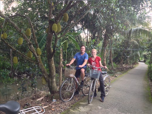 Jack fruit is sweet and delicious and also very large. Some of these things can weigh over 20 lbs. 