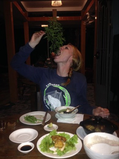 Raw ginseng is edible. 