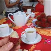 Can't remember what these furry little things are called but they were delicious. : by danidawnandstevo, Views[450]