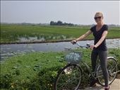 Back on our bikes through rice patty fields. : by danidawnandstevo, Views[454]