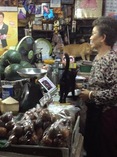 Street food tours are not for the faint of heart or those with weak stomachs.