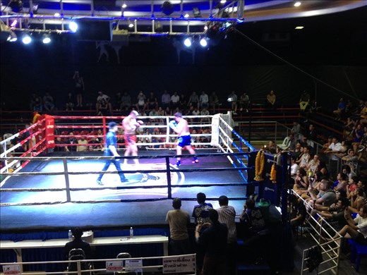 Muay Thai fights!