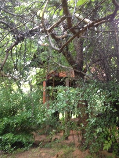 Our hotel for the night is a tree house. 