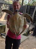 Visit Victor Hasselblad Sea Turtle Research & Conservation Center, Kosgoda.: by danidawnandstevo, Views[705]
