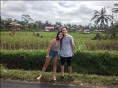 Roadside photo-op in Ubud. : by danidawnandstevo, Views[352]