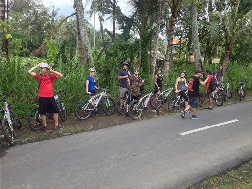 Group bike ride around Bali. 