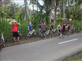 Group bike ride around Bali. : by danidawnandstevo, Views[433]