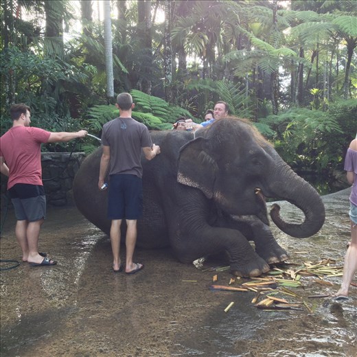 Bath and breakfast with the elephants. 